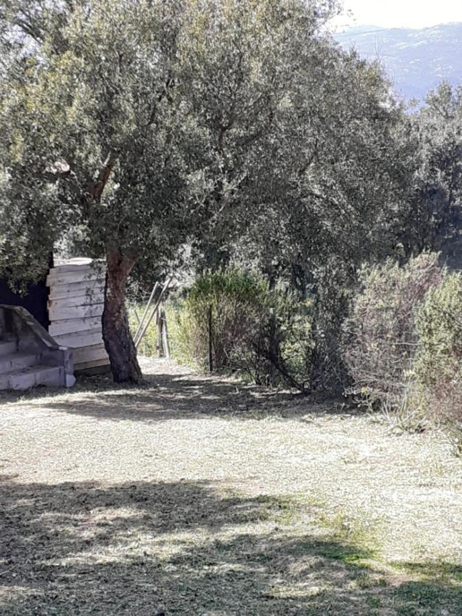 Вілла Casa Gattu Порто-Веккіо Екстер'єр фото